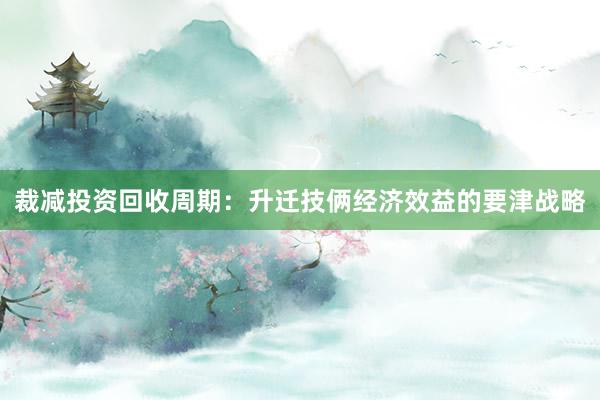 裁减投资回收周期：升迁技俩经济效益的要津战略
