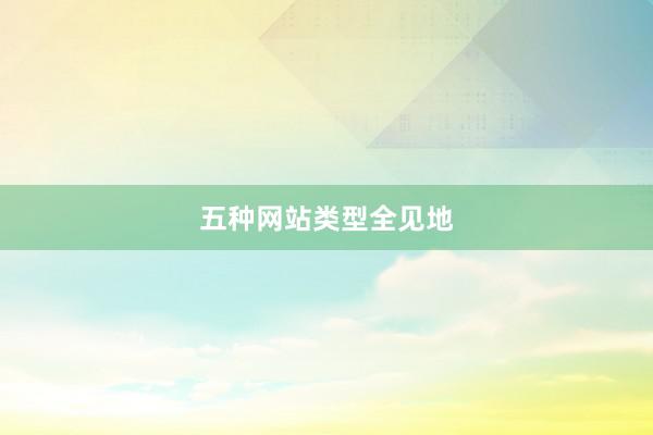 五种网站类型全见地