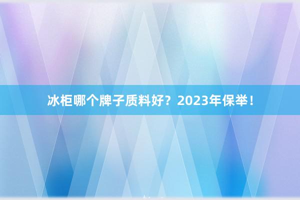 冰柜哪个牌子质料好？2023年保举！